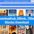 Downloadhub movies download